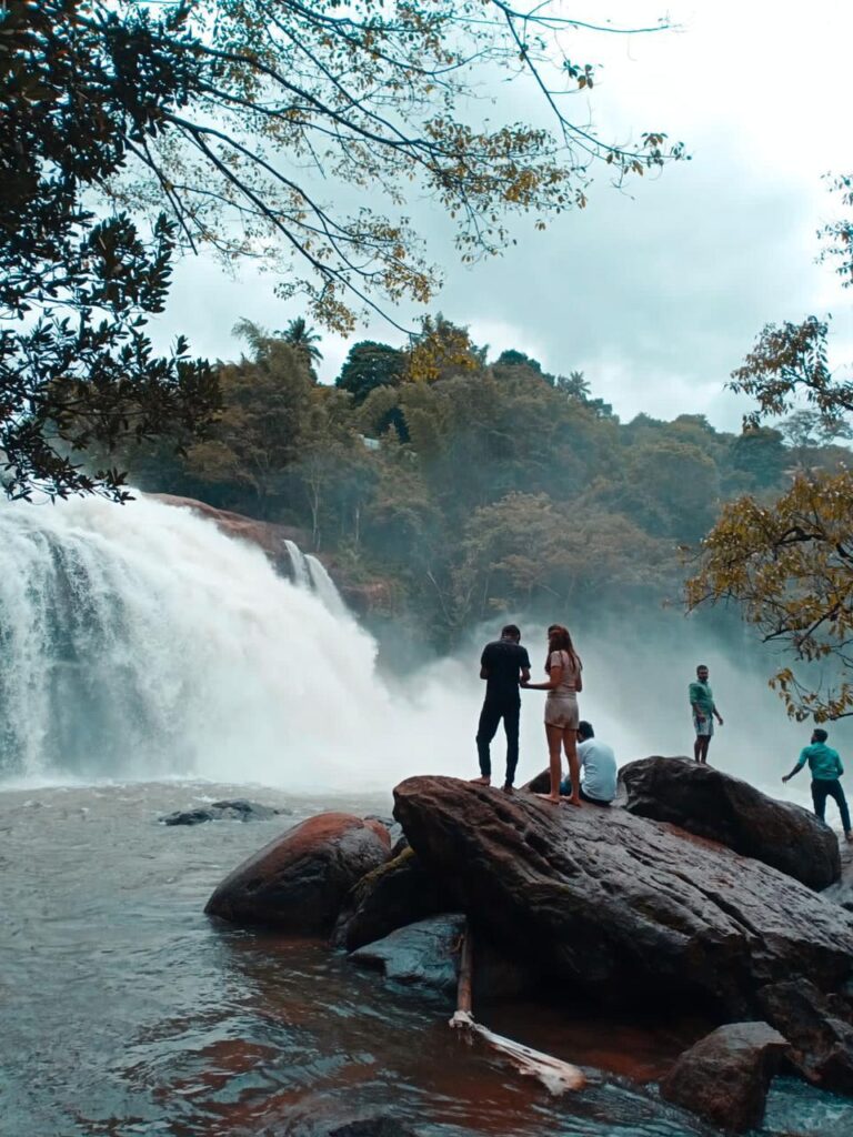 best travel and tourism in kochi | tripplegreen tours