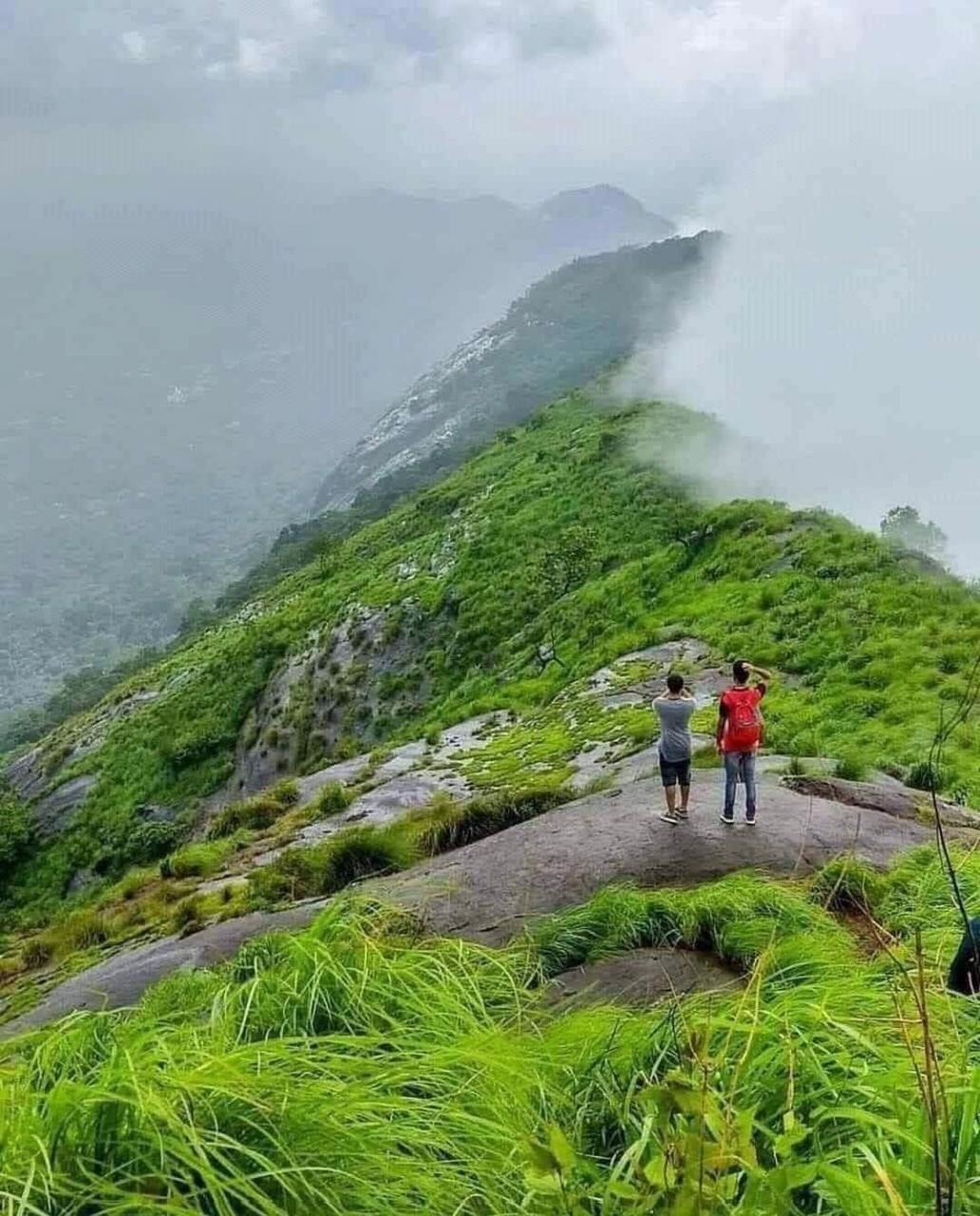 best travel and tourism in kochi | tripplegreen tours